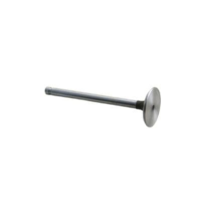 Intake Valve