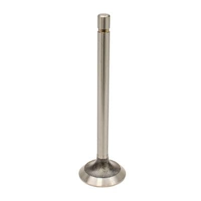 Intake Valve