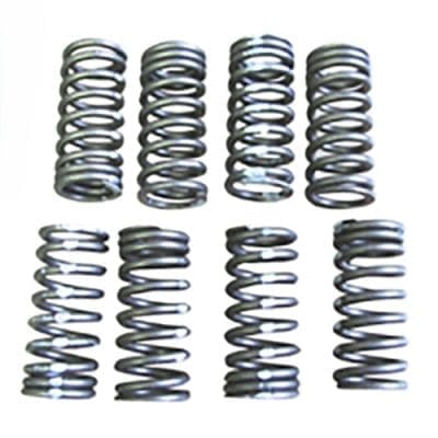 Valve Spring