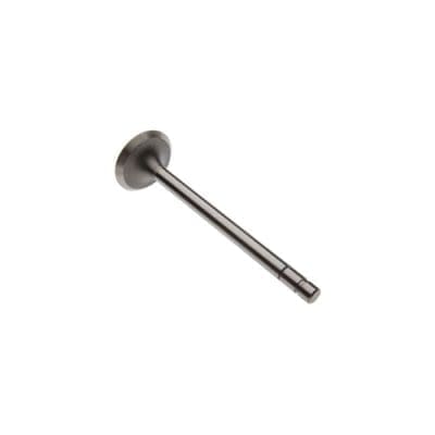 Exhaust Valve