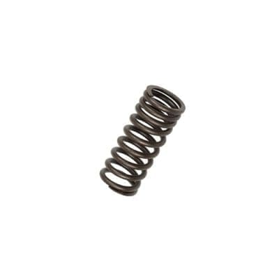 Valve Spring