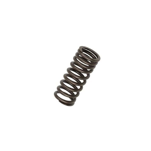 Valve Spring
