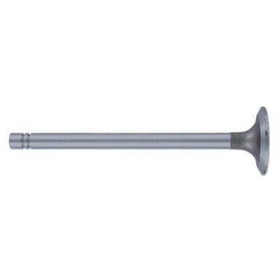 Intake Valve