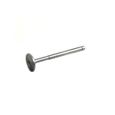 Intake Valve