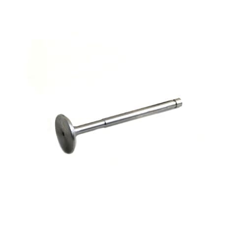 Intake Valve
