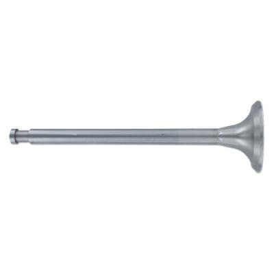 Exhaust Valve
