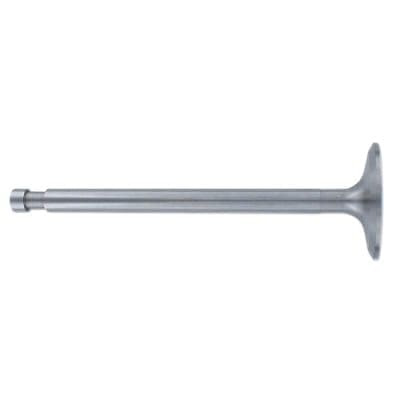 Intake Valve