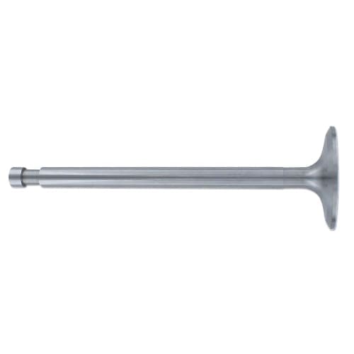 Intake Valve