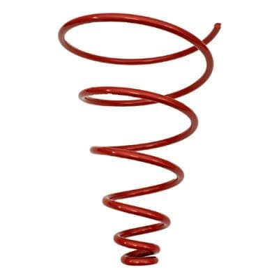 Seat Spring