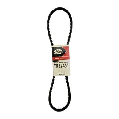 Fan Belt