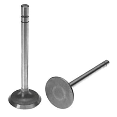 Intake Valve