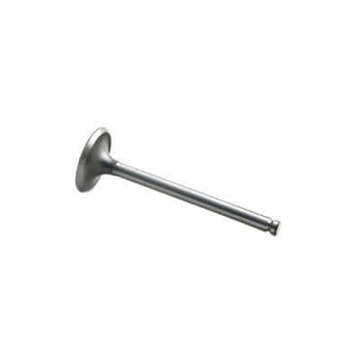 Intake Valve