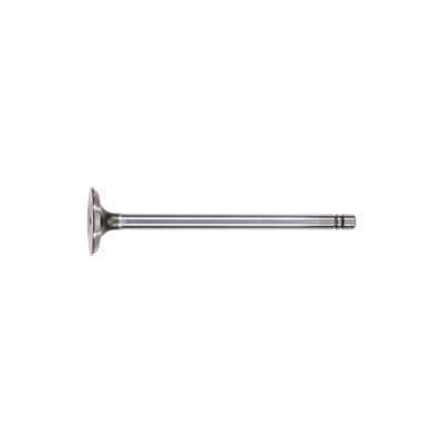 Exhaust Valve