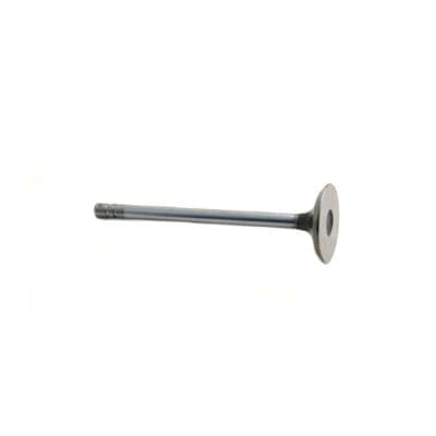 Intake Valve