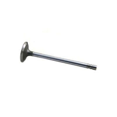 Intake Valve