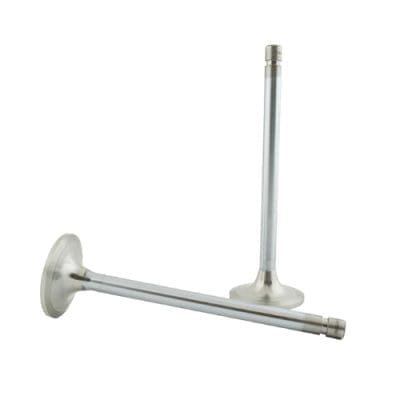 Intake Valve